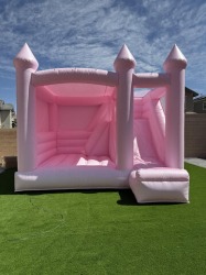 The Flamingo